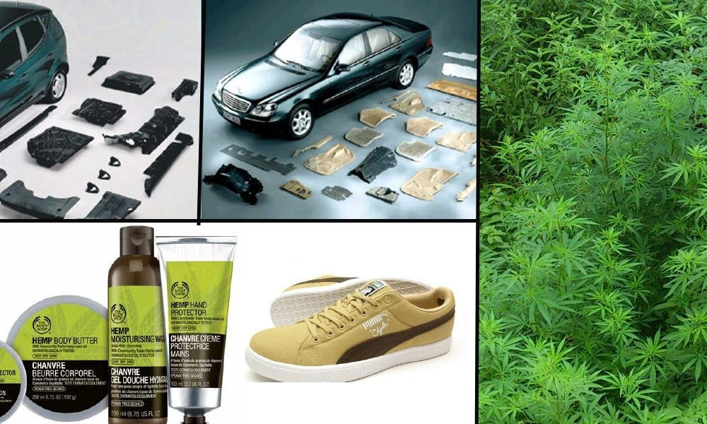 Controlled Cannabis Cultivation in Himachal Pradesh