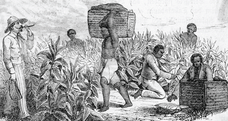 Commercialisation of Agriculture in British India