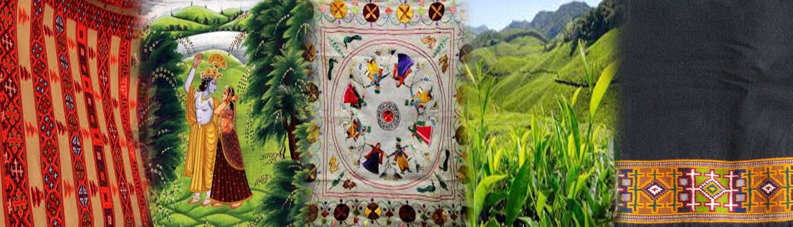 Himachal Pradesh Patent Information Centre: Fostering Innovation in the Hills