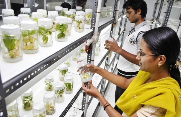 Biotechnology in India: Opportunities, Challenges, and Ethical Perspectives